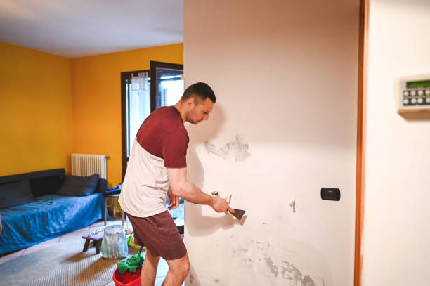 Best Post-Remediation Services in Friendswood, TX